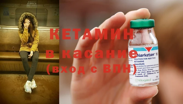 стаф Белокуриха