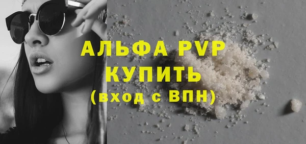 стаф Белокуриха