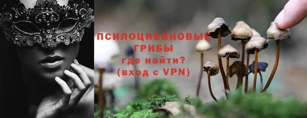 мескалин Няндома