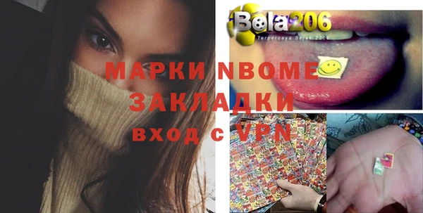 стаф Белокуриха