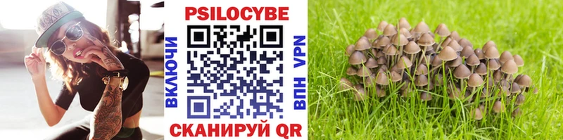 Галлюциногенные грибы Cubensis  MEGA ССЫЛКА  Окуловка 