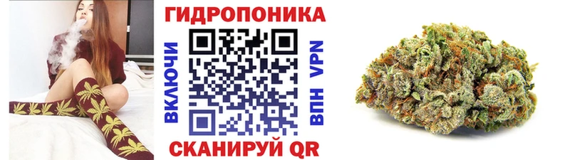 где продают наркотики  маркетплейс официальный сайт  Каннабис SATIVA & INDICA  Окуловка 